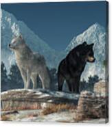 White Wolf, Black Wolf Canvas Print