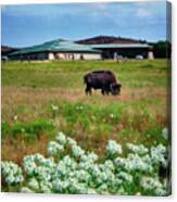 Wichita Mountain Wildlife Reserve Welcome Center Verticle Canvas Print