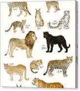 Wild Cats Canvas Print
