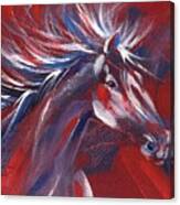 Wild Horse Bust Canvas Print