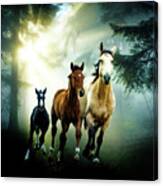 Wild Horses In The Woods Canvas Print