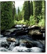 Wild River In Tian Shan Canvas Print