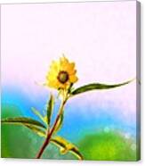 Wild Sunflower Canvas Print