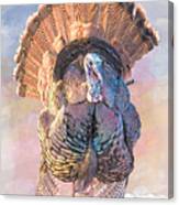 Wild Tom Turkey Canvas Print