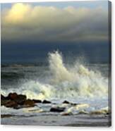 Wild Waves Canvas Print