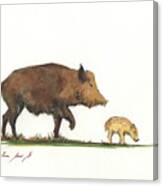 Wildboar Piglet Canvas Print