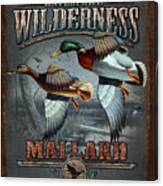 Wilderness Mallard Canvas Print