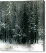 Wilderness Snowfall Canvas Print