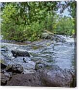 Wilderness Waterway Canvas Print