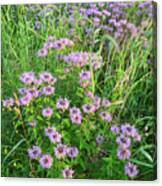 Wildflower Bouquet In Glacial Park Canvas Print