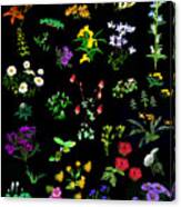 Wildflower Quilt Canvas Print