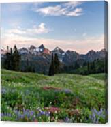 Wildflowers At Paradise Canvas Print