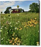 Wildflowers On Midwest Farm Canvas Print