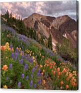 Wildflowers With Twin Peaks At Sunset Canvas Print