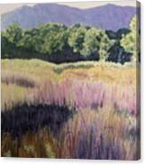 Willamette Meadow Canvas Print