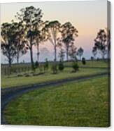 Winding Road Through Paddock At Dawn Canvas Print