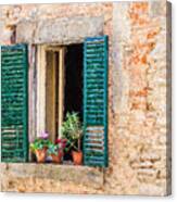 Window Flowers Of Tuscany Canvas Print