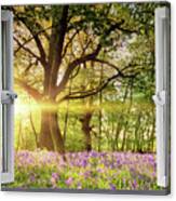 Window Open Onto Bluebell Forest Sunrise Canvas Print