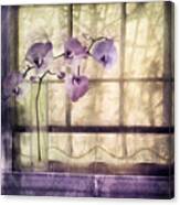 Window Orchids Canvas Print