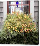 Windowbox - Nantucket Canvas Print