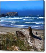 Windswept Canvas Print