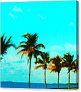 Windy Day On N Roosevelt Bld Key West Canvas Print