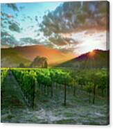 Wine Country Canvas Print