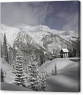 Winter Comes Softly Canvas Print