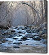 Winter Creek Canvas Print