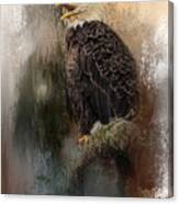 Winter Eagle 3 Canvas Print