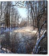 Winter Frost Canvas Print