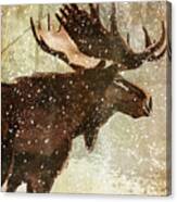 Winter Game Moose Canvas Print