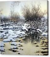 Winter In The Marshes Canvas Print