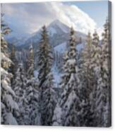 Winter In The Wasatch Canvas Print
