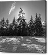 Winter Landscape - 365-317 Canvas Print