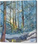 Winter Light In The Forest Canvas Print