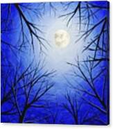 Winter Moon Canvas Print