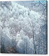 Winter On The Mountain Canvas Print
