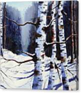 Winter Passage Canvas Print