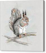 Winter Red Squirrel Canvas Print