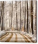 Winter Road Through The Forest Canvas Print