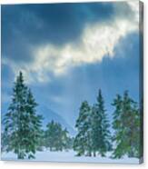 Winter Scene - New Hampshire Canvas Print