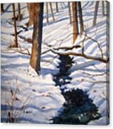 Winter Shadows Canvas Print