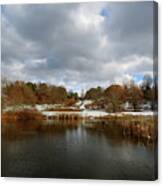 Winter Sky Canvas Print