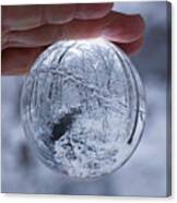 Winter Snow Globe Canvas Print