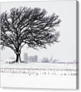 One Last Snowfall - Lone Oak In Snow And Corn Stubble Near Stoughton Wi Canvas Print