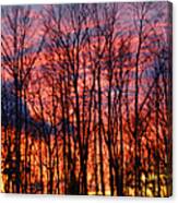 Winter Sunset Panorama Canvas Print