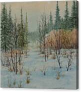 Winter Trail Alberta Canvas Print