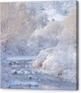 Winter Wonderland - Colorado Canvas Print