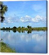 Winter Wonderland Florida Style Canvas Print